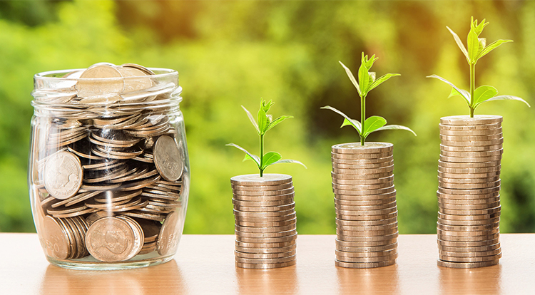 Investment Management