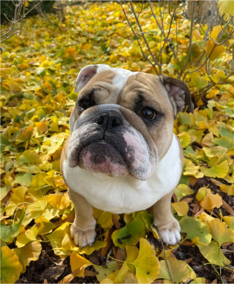 Words and Perspective from Art Carmichael Creel Investments